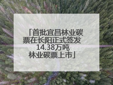 首批宜昌林业碳票在长阳正式签发 14.38万吨林业碳票上市