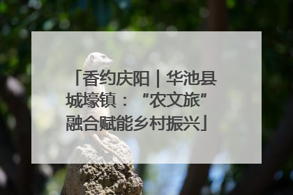 香约庆阳｜华池县城壕镇：“农文旅”融合赋能乡村振兴