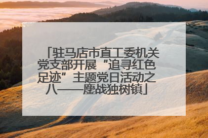 驻马店市直工委机关党支部开展“追寻红色足迹”主题党日活动之八——鏖战独树镇