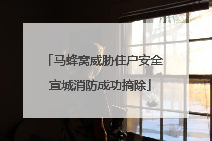 马蜂窝威胁住户安全 宣城消防成功摘除