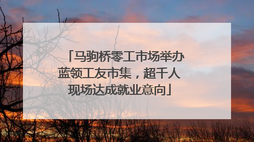 马驹桥零工市场举办蓝领工友市集，超千人现场达成就业意向