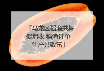 马龙区稻渔共舞促增收 稻渔订单生产共致富