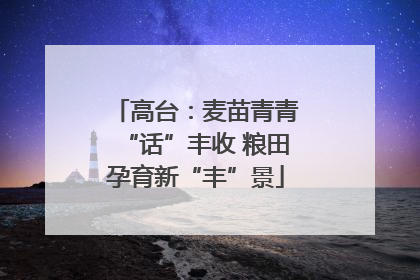 高台：麦苗青青“话”丰收 粮田孕育新“丰”景