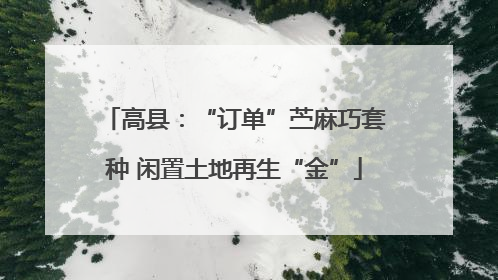 高县：“订单”苎麻巧套种 闲置土地再生“金”