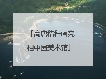 高唐秸秆画亮相中国美术馆