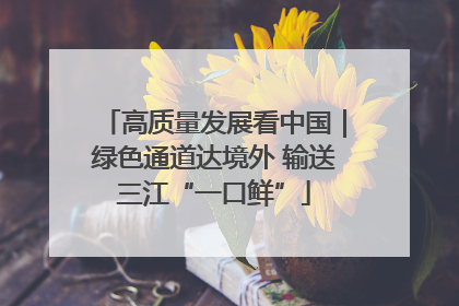 高质量发展看中国｜绿色通道达境外 输送三江“一口鲜”