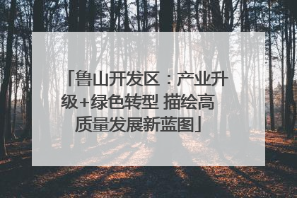 鲁山开发区：产业升级+绿色转型 描绘高质量发展新蓝图