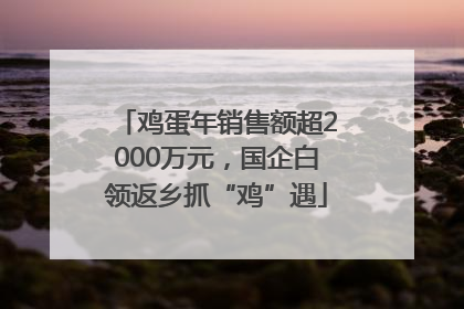 鸡蛋年销售额超2000万元，国企白领返乡抓“鸡”遇