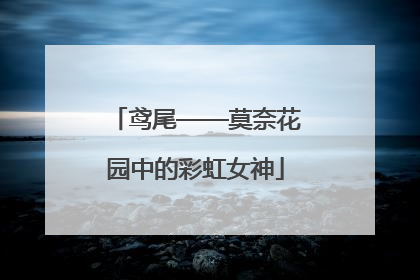 鸢尾——莫奈花园中的彩虹女神