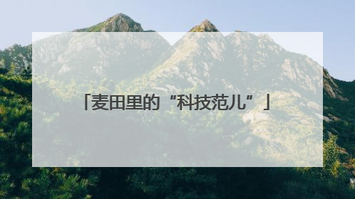 麦田里的“科技范儿”
