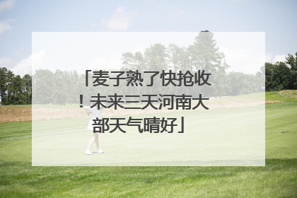麦子熟了快抢收！未来三天河南大部天气晴好