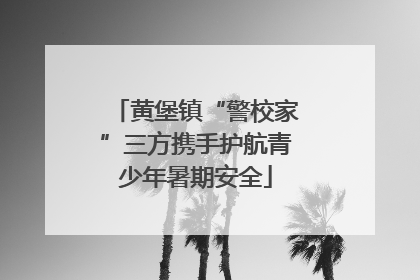 黄堡镇“警校家”三方携手护航青少年暑期安全