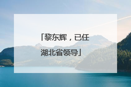 黎东辉，已任湖北省领导