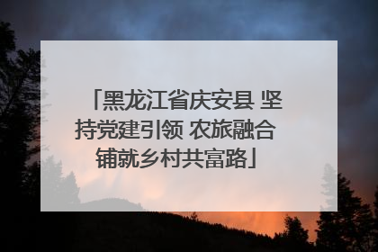 黑龙江省庆安县 坚持党建引领 农旅融合铺就乡村共富路