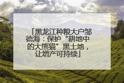 黑龙江种粮大户邹德海：保护“耕地中的大熊猫”黑土地，让增产可持续