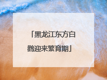 黑龙江东方白鹳迎来繁育期