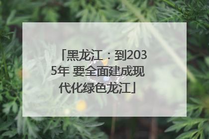黑龙江：到2035年 要全面建成现代化绿色龙江