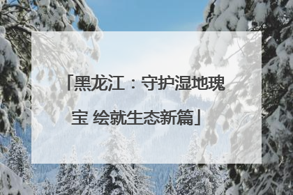 黑龙江：守护湿地瑰宝 绘就生态新篇