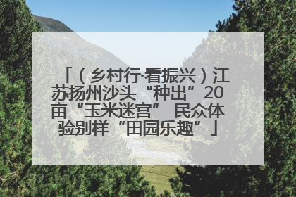 （乡村行·看振兴）江苏扬州沙头“种出”20亩“玉米迷宫” 民众体验别样“田园乐趣”