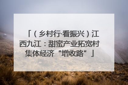 （乡村行·看振兴）江西九江：甜蜜产业拓宽村集体经济“增收路”