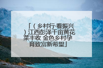 （乡村行·看振兴）江西彭泽千亩黄花菜丰收 金色乡村孕育致富新希望