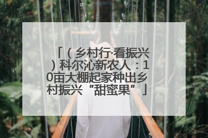 （乡村行·看振兴）科尔沁新农人：10亩大棚起家种出乡村振兴“甜蜜果”