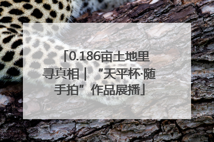 0.186亩土地里寻真相｜“天平杯·随手拍”作品展播