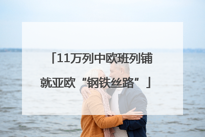11万列中欧班列铺就亚欧“钢铁丝路”