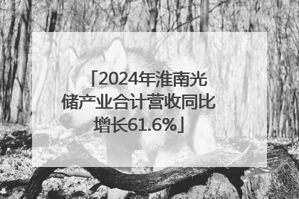 2024年淮南光储产业合计营收同比增长61.6%