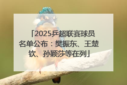 2025乒超联赛球员名单公布：樊振东、王楚钦、孙颖莎等在列