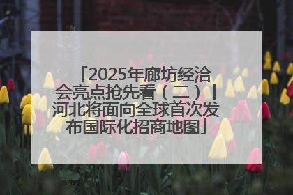 2025年廊坊经洽会亮点抢先看（二）丨河北将面向全球首次发布国际化招商地图