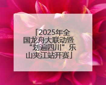 2025年全国龙舟大联动暨“划遍四川”乐山夹江站开赛