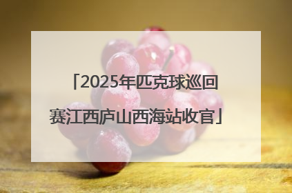 2025年匹克球巡回赛江西庐山西海站收官
