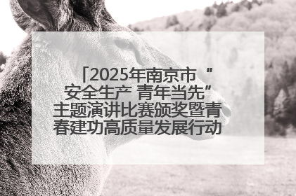 2025年南京市“安全生产 青年当先”主题演讲比赛颁奖暨青春建功高质量发展行动出征仪式举行