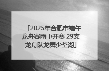 2025年合肥市端午龙舟赛雨中开赛 29支龙舟队龙舞少荃湖