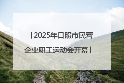 2025年日照市民营企业职工运动会开幕