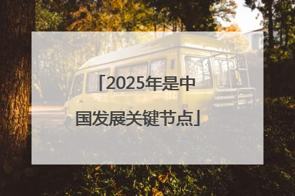 2025年是中国发展关键节点