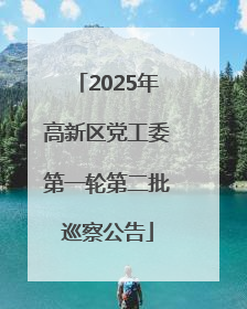 2025年高新区党工委第一轮第二批巡察公告