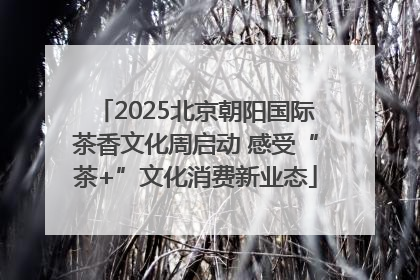 2025北京朝阳国际茶香文化周启动 感受“茶+”文化消费新业态