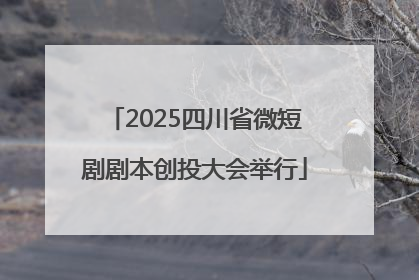 2025四川省微短剧剧本创投大会举行