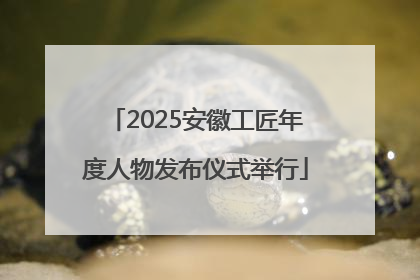 2025安徽工匠年度人物发布仪式举行