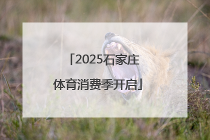 2025石家庄体育消费季开启