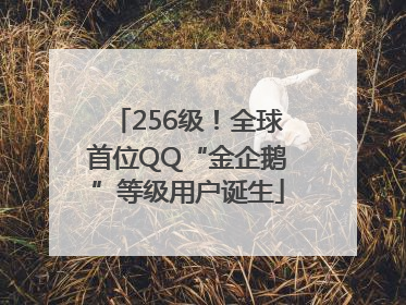 256级！全球首位QQ“金企鹅”等级用户诞生
