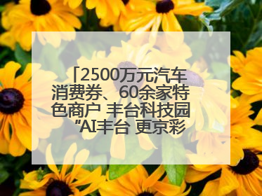 2500万元汽车消费券、60余家特色商户 丰台科技园“AI丰台 更京彩”未来玩家市集活动正式开幕