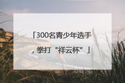 300名青少年选手，拳打“祥云杯”
