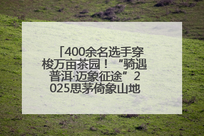 400余名选手穿梭万亩茶园！“骑遇普洱·迈象征途”2025思茅倚象山地自行车赛圆满举行