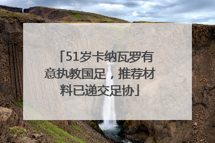 51岁卡纳瓦罗有意执教国足，推荐材料已递交足协