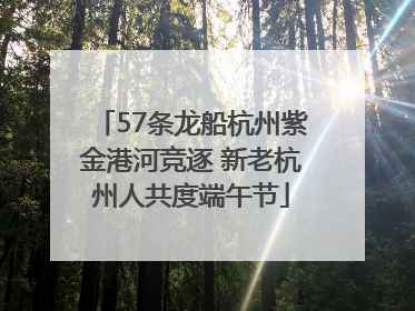 57条龙船杭州紫金港河竞逐 新老杭州人共度端午节