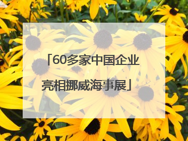 60多家中国企业亮相挪威海事展