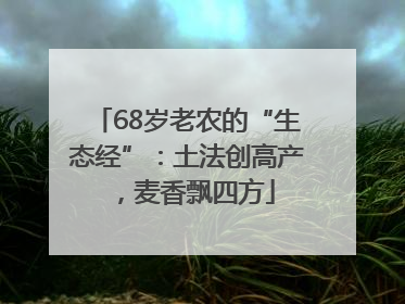 68岁老农的“生态经”：土法创高产，麦香飘四方